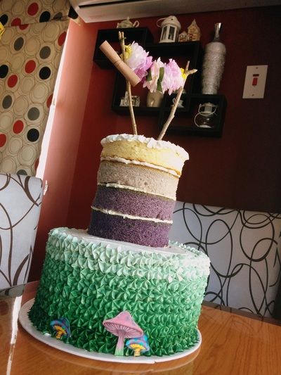 Two tier, triple layer and quadruple layer cake with coloured layers